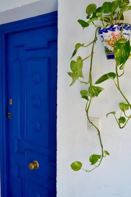 Apartamento En Sevilla Centro Con Vistas A La Plaza Alameda De Hercules - Hasta 6 Personas 外观 照片
